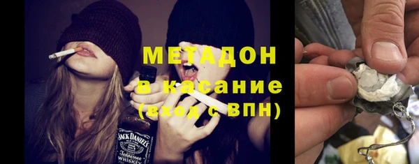 сатива Горняк