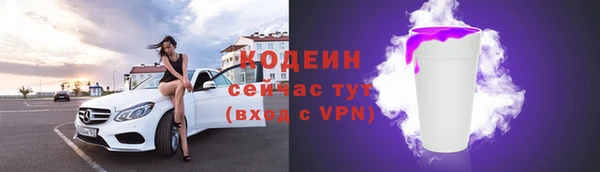 спиды Вяземский