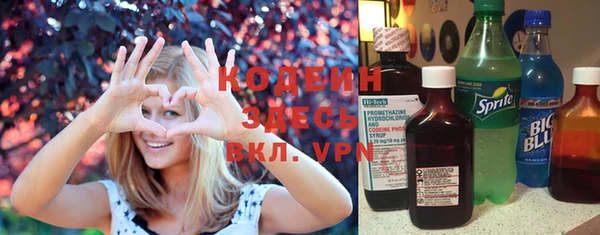 сатива Горняк