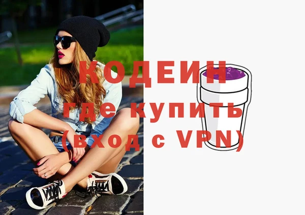 спиды Вяземский