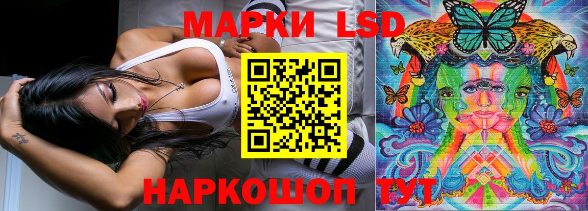 Наркотические марки  Наркотические марки 1,5мг  Железногорск  Вход с VPN  Наркотические марки 1,5мг 