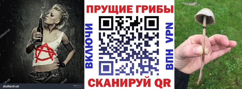 Псилоцибиновые грибы прущие грибы  KRAKEN рабочий сайт  Железногорск 