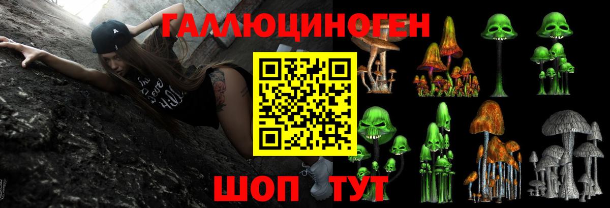 даркнет сайт  Псилоцибиновые грибы MAGIC MUSHROOMS  Вход с VPN  Железногорск 